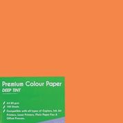 A4 PROJECT BOARD BRIGHT ORANGE 100's