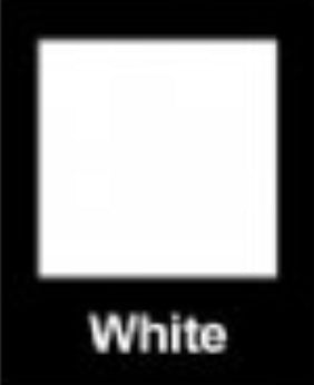 DALA POWDER TEMPERA 200g WHITE