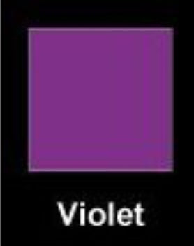 DALA RAINBOW GLITTER SHAKER 3'S 8G VIOLET