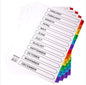 *ESTRICKS* JAN-DEC PVC DIVIDERS #EDIV-JA