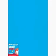 PROJECT BOARDS A2 BLUE